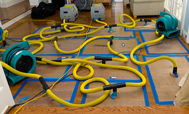 Professional Sewage Cleanup technician working in Roseville, MI
